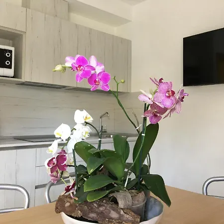 Casa Eva