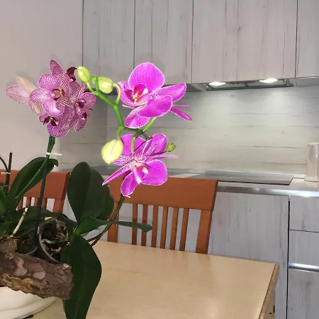 Casa Eva アパート ビビオーネ
